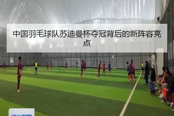 中国羽毛球队苏迪曼杯夺冠背后的新阵容亮点